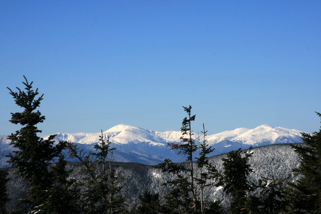 Washington State Climate Action: Clean Energy Transition and Environmental Leadership